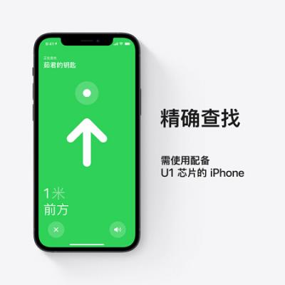 Apple AirTag 追踪器 适用于 iPhone iPad