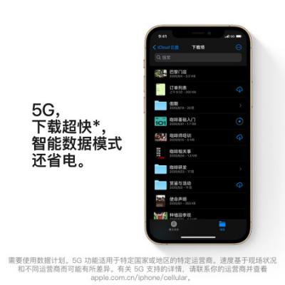 苹果 Apple iPhone12ProMax (A2412) 支持移动联通电信5G 双卡双待手机