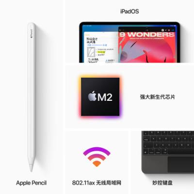 Apple iPad Pro2022 11英寸平板电脑(M2芯片Liquid视网膜屏/MNXD3CH/A)