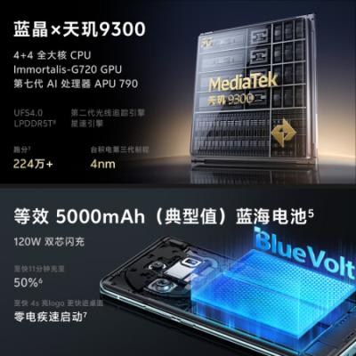 vivo X100 5G拍照手机 蓝晶x天玑9300旗舰芯片/5000mAh蓝海电池/蔡司超级长焦/120W双芯闪充