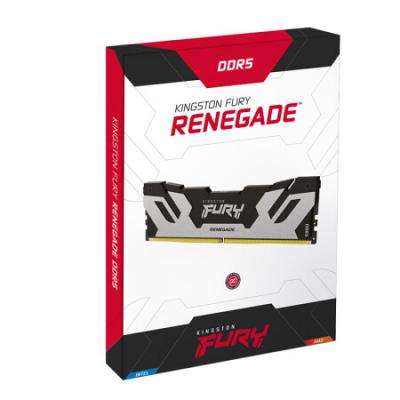 金士顿 (Kingston) FURY DDR5 6400 台式机内存条 Renegade叛逆者系列 骇客神条