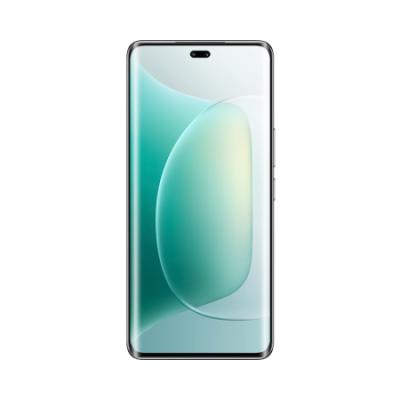 荣耀300 Pro 5GAI拍照手机 骁龙8gen3 单反级雅顾人像 荣耀绿洲护眼屏